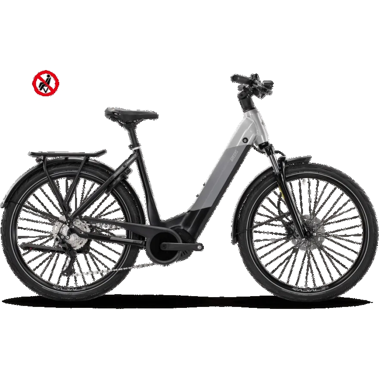 Green's "Richmond F625N" - E-Bike Low