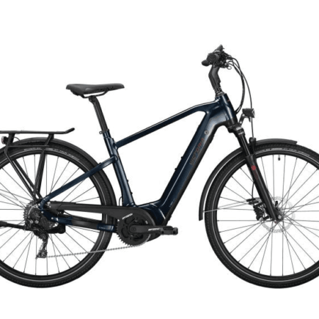 VICTORIA "eManufaktur 12.6"- E-Bike