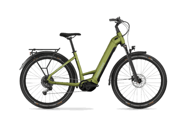 Winora "Yucatan X10" - E-Bike