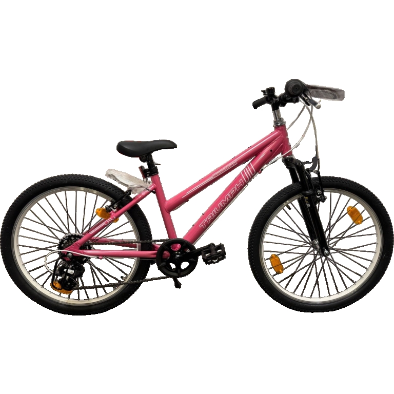 Triumph "Rower" Kinderfahrrad, 24 Zoll