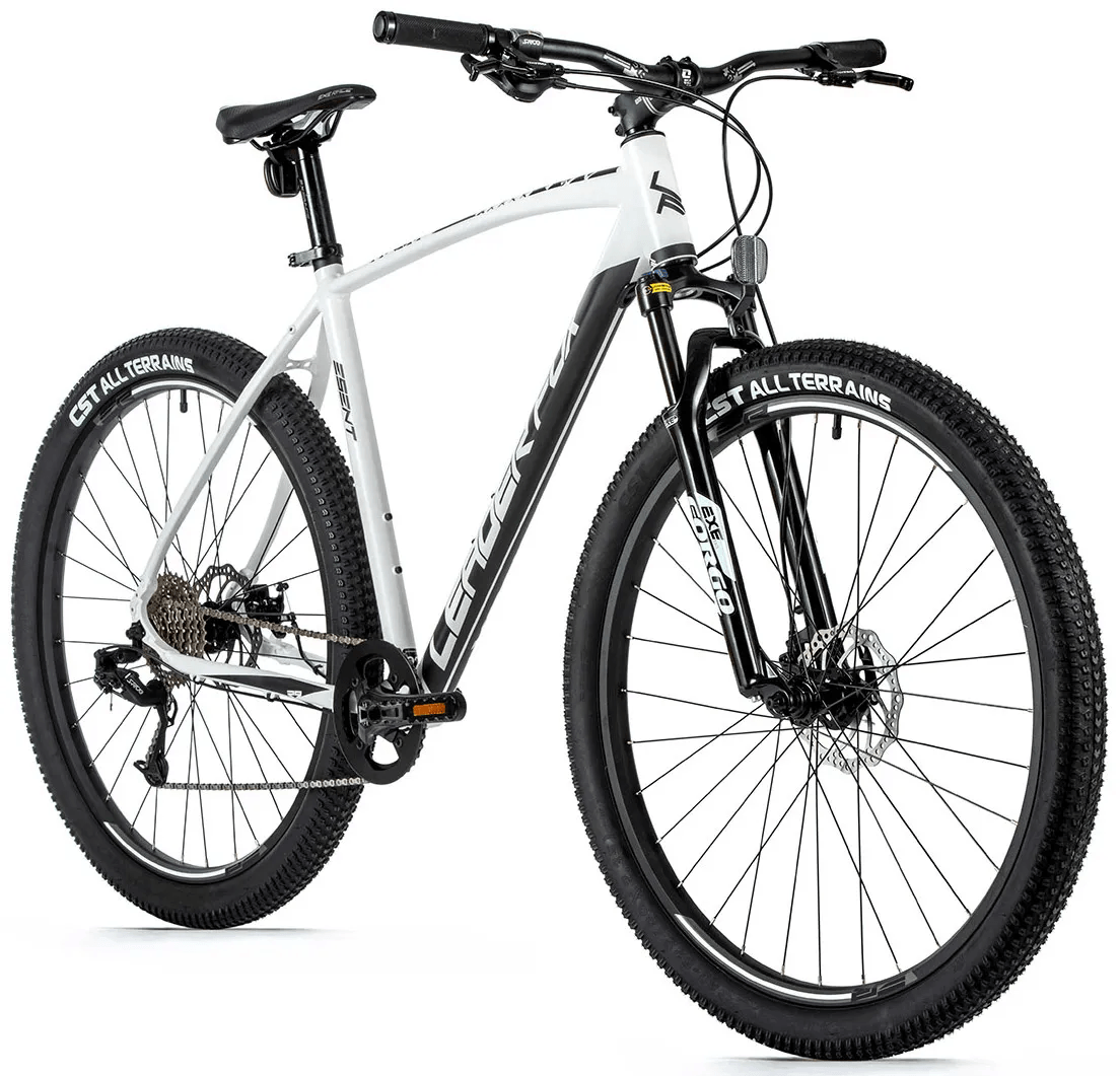 Leader Fox "ESENT" MTB Hardtail 29 Zoll black-white