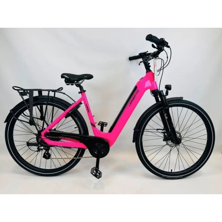 Leader Fox NARA E-Bike Pedelec 540 Wh 7 Gang Statt 2499€