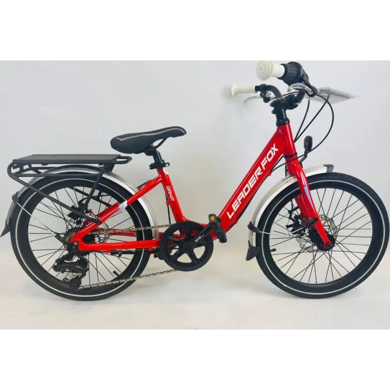 Leader Fox Gamp Kinder Fahrrad 20 Zoll 6 Gang Scheibenbremsen