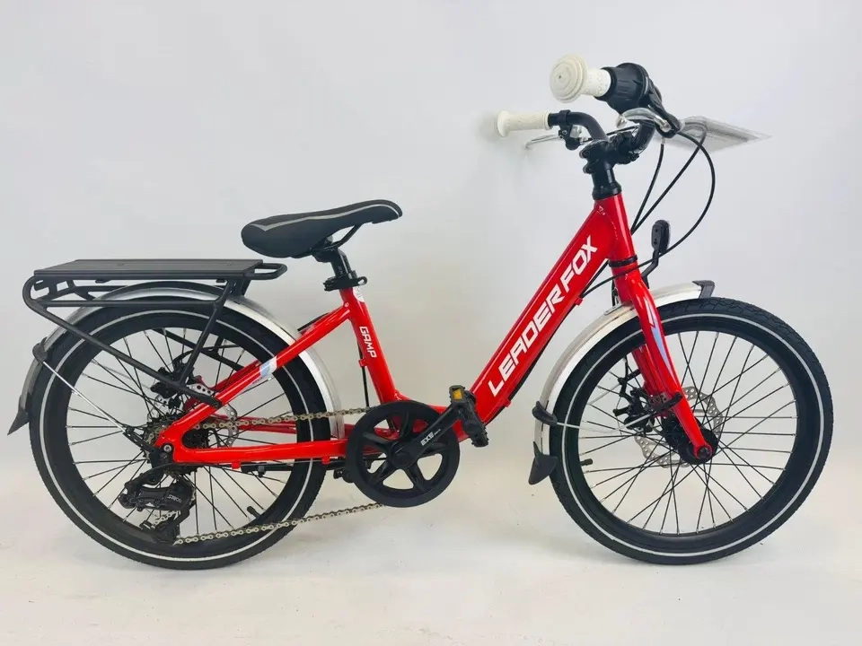 Leader Fox Gamp Kinder Fahrrad 20 Zoll 6 Gang Scheibenbremsen
