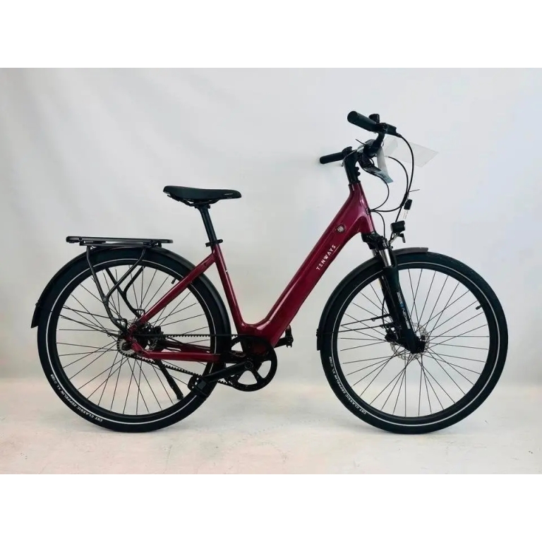 TENWAYS CGO 800S E-Bike Riemen 460Wh 40Nm Leicht 19Kg Statt 1999€