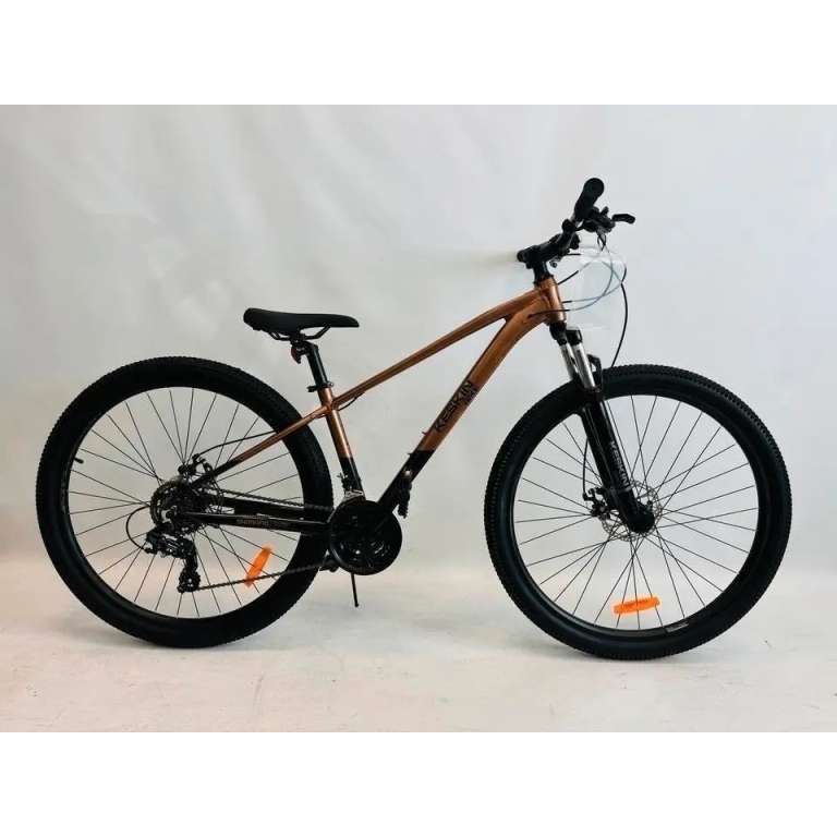 Keskin Bike MTB1 MTB Hardtail Alu Scheiben 21 Gang 29 Zoll
