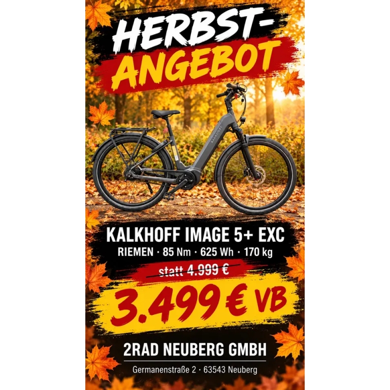 Kalkhoff IMAGE 5+ EXC E-Bike Riemen 85 Nm 625Wh 170Kg Statt 4999€