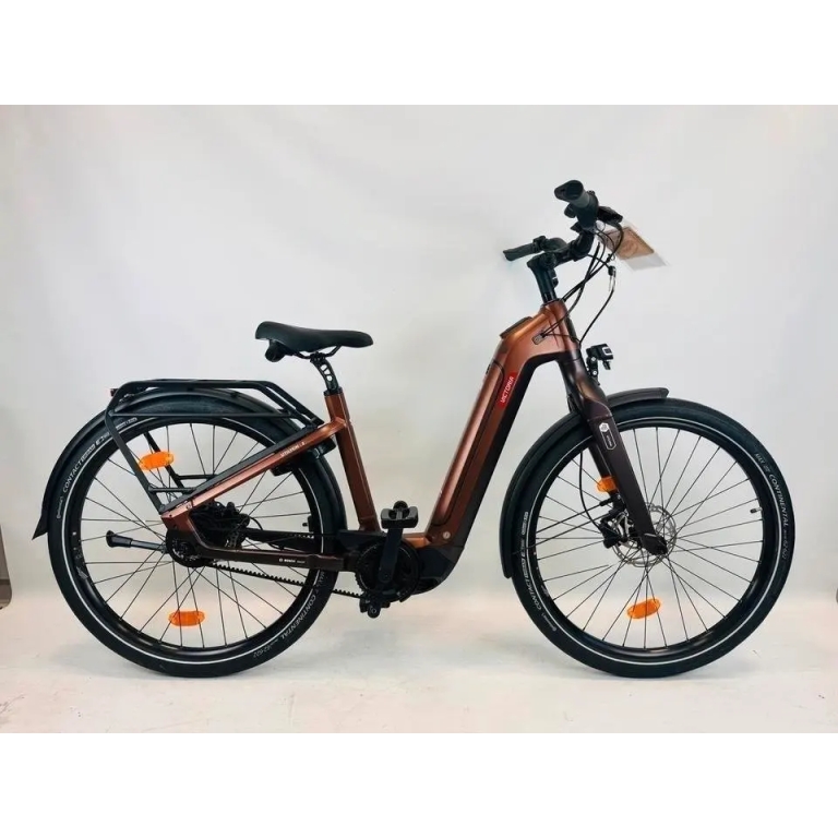 VICTORIA UTILYON 3 E-Bike 750Wh 85Nm Riemen 180Kg Statt 5499€