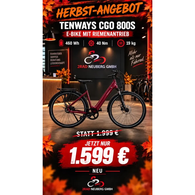 TENWAYS CGO 800S E-Bike Riemen 460Wh 40Nm Leicht 19Kg Statt 1999€