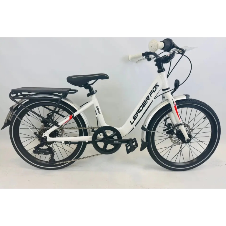 Leader Fox Gamp Kinder Fahrrad 20 Zoll 6 Gang Scheibenbremsen