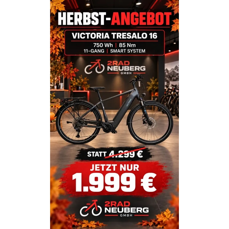 Victoria Tresalo 16 E-Bike 750Wh 85Nm 11Gang Smart Statt 4299€