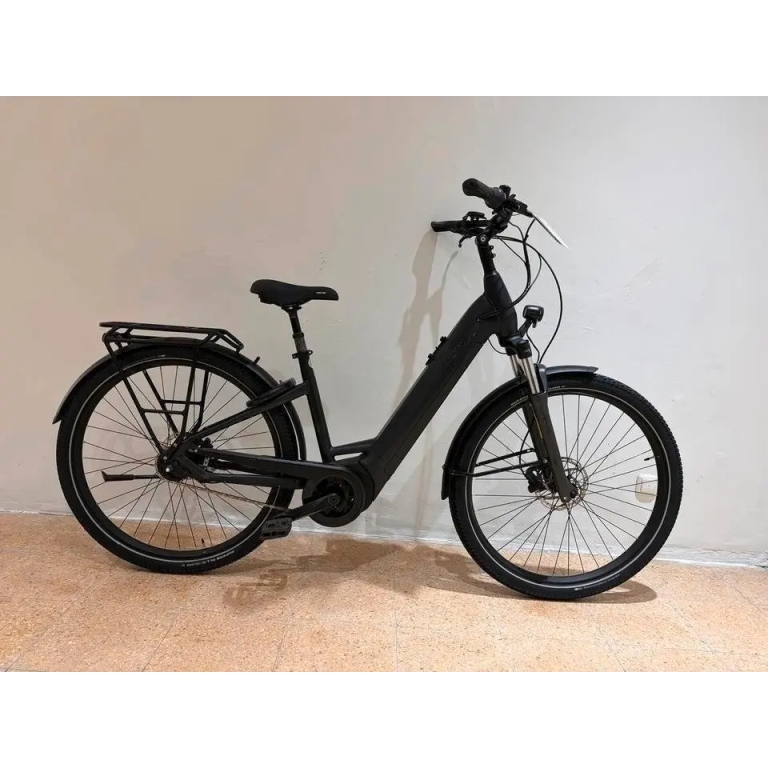 Pegasus Savino EVO 5R E-Bike 625Wh 75Nm Rücktritt Smart UVP 4499€