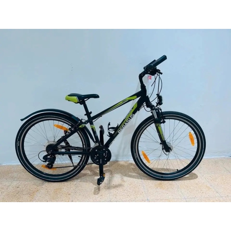 Pegasus Avanti 26 Zoll kinder Jugend Fahrrad 21-Gang